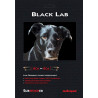 AUDIOQUEST BLACK LAB