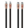 AUDIOQUEST BLACK BEAUTY XLR