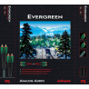 AUDIOQUEST EVERGREEN RCA