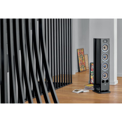 FOCAL ARIA EVO X N°3 (à l'unité)