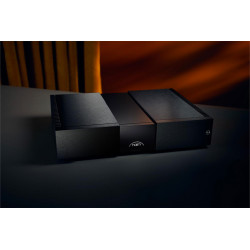 NAIM NAP 350