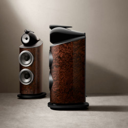 Bowers &amp; Wilkins 801 D4 Signature (à l'unité)