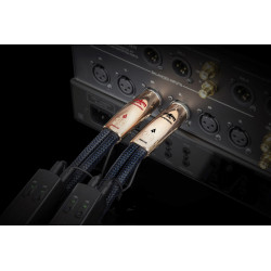 AUDIOQUEST ThunderBird XLR