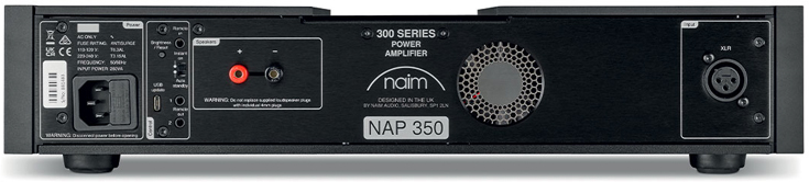 NAIM NAP 350 - Connectiques