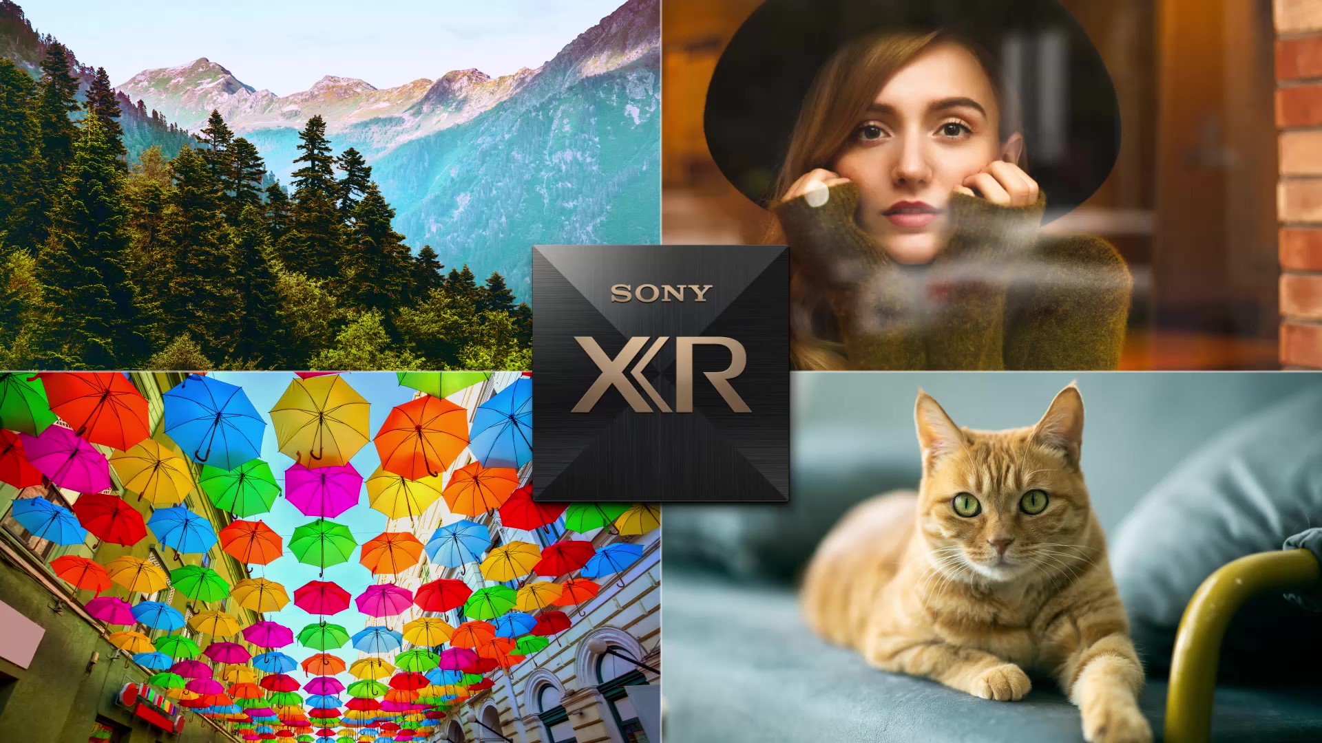 SONY Bravia 7 (K65XR70) - Processeur Cognitif