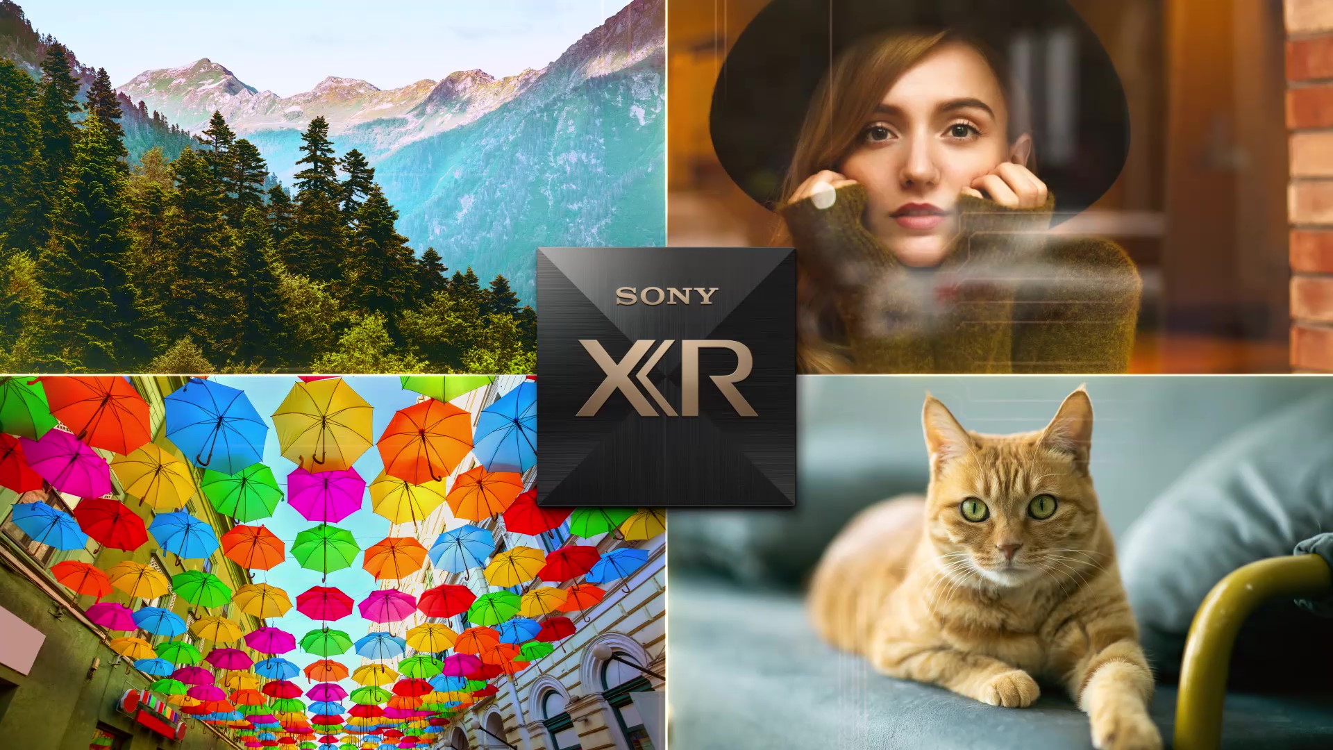 SONY KD65XR80 - Bravia 8 - XR Processor