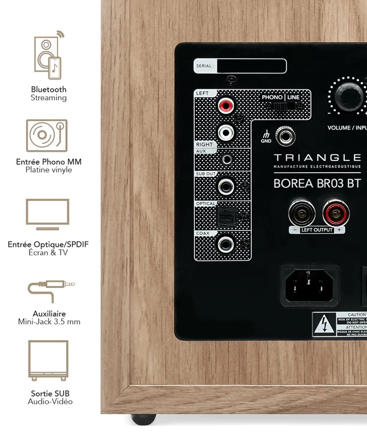 TRIANGLE série BOREA Active - Amplificateur et connectiques